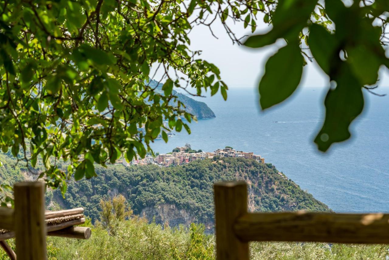 Sound Of Silence, Terre Marine Villa Corniglia Eksteriør billede